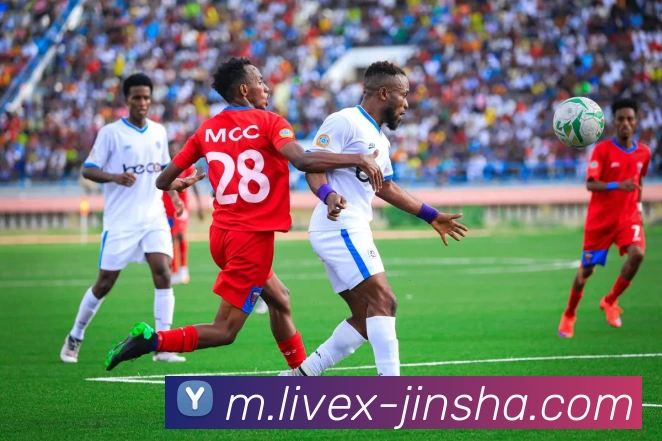 App Interface Preview